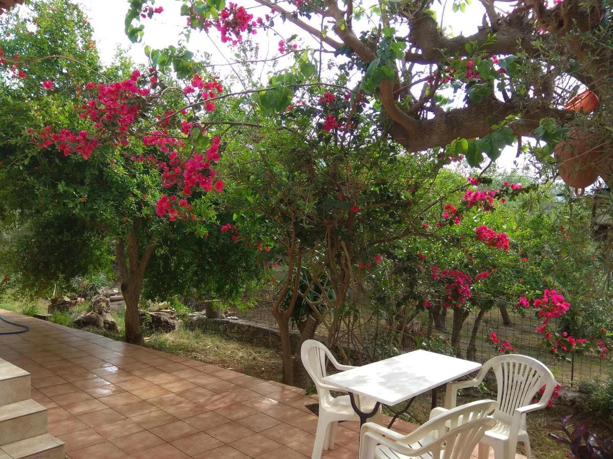 Ktima Tzamika Apartment Episkopi-Chania Exterior foto