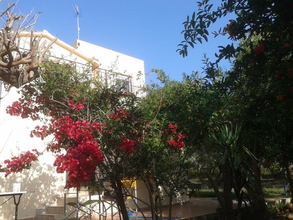 Ktima Tzamika Apartment Episkopi-Chania Exterior foto