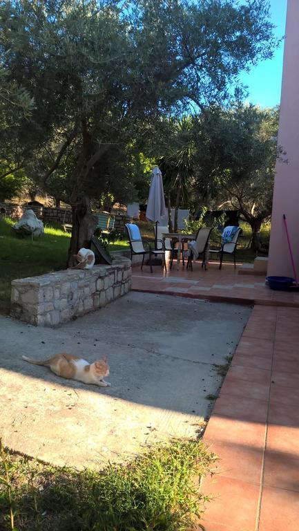 Ktima Tzamika Apartment Episkopi-Chania Exterior foto