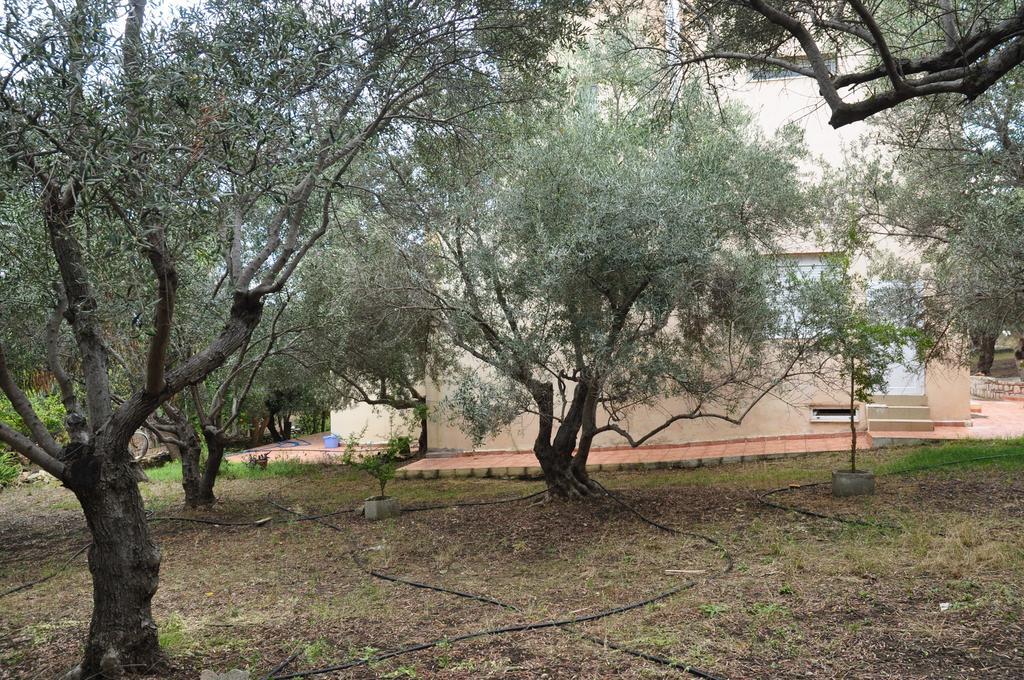 Ktima Tzamika Apartment Episkopi-Chania Exterior foto