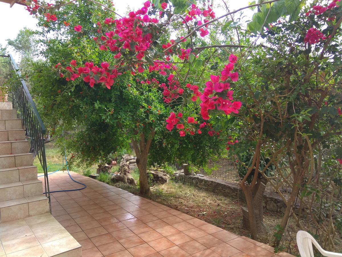 Ktima Tzamika Apartment Episkopi-Chania Exterior foto