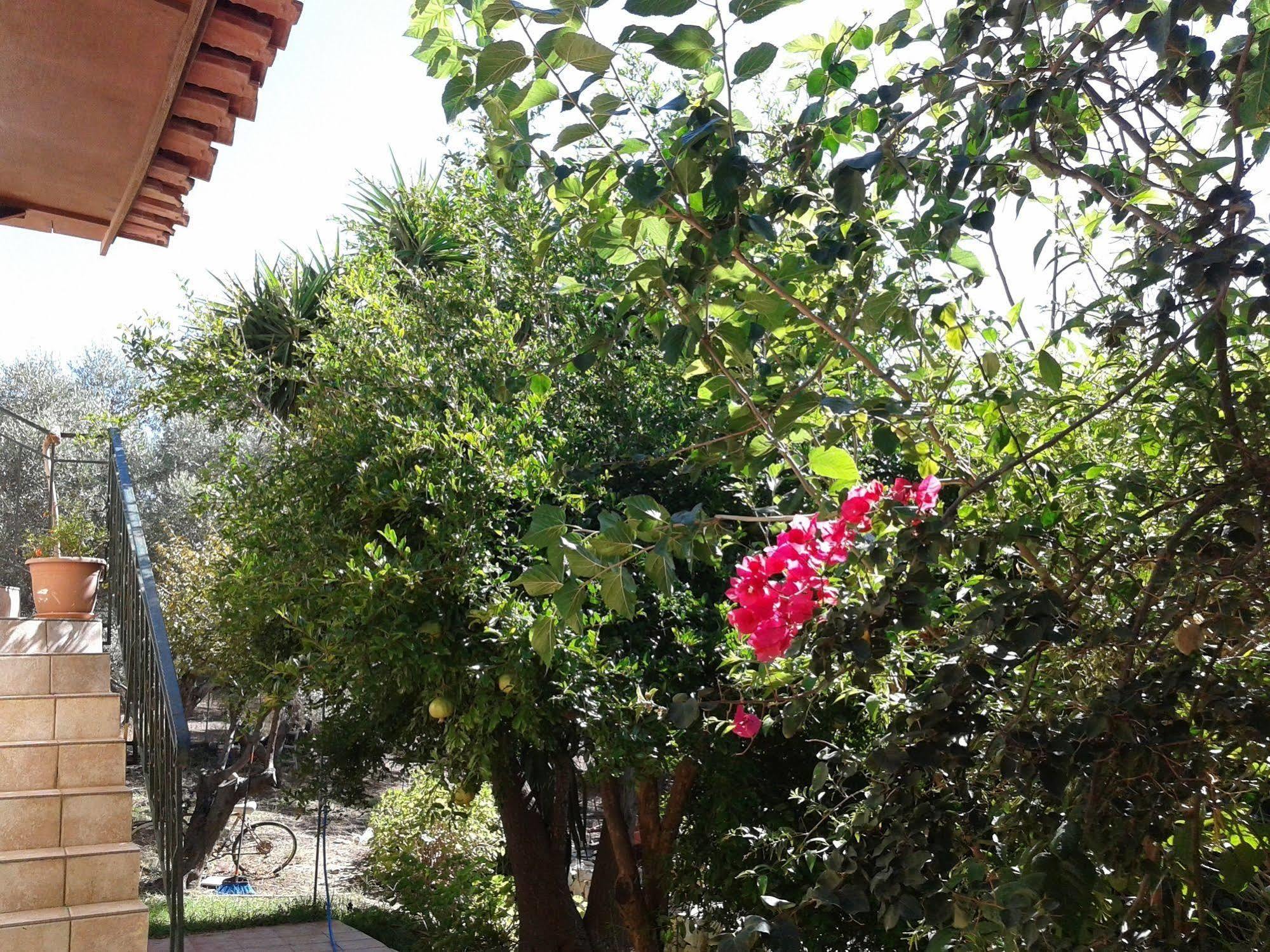 Ktima Tzamika Apartment Episkopi-Chania Exterior foto